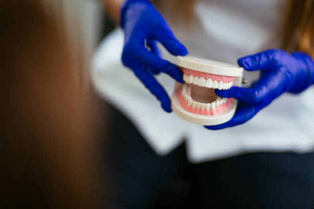 Best Dental Fillings (Composite and Amalgam)  in Federal Y, WA